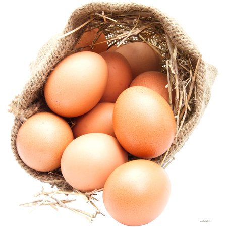 Cleanbridge Farms | Lagos Nigeria